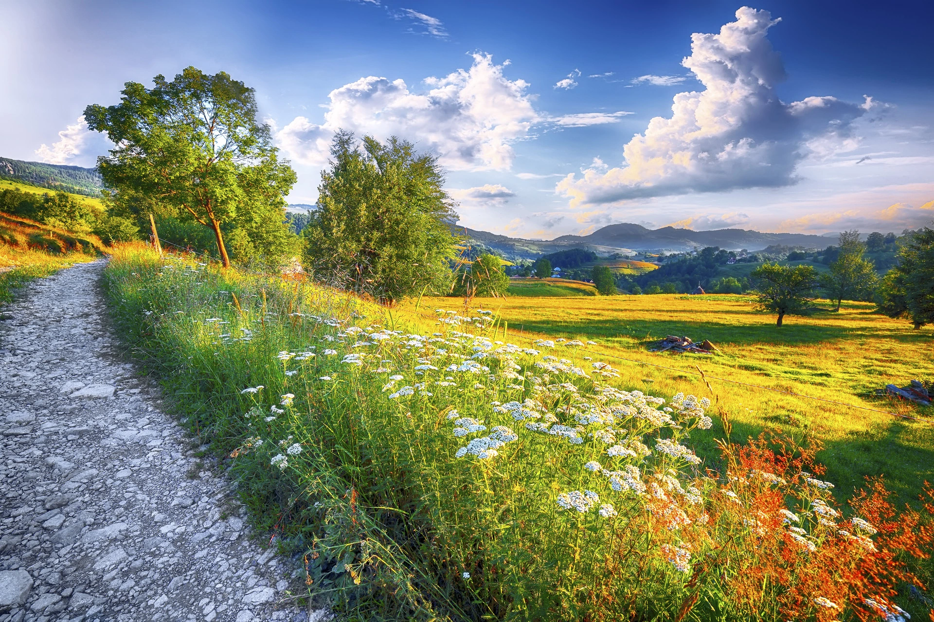 Summer image