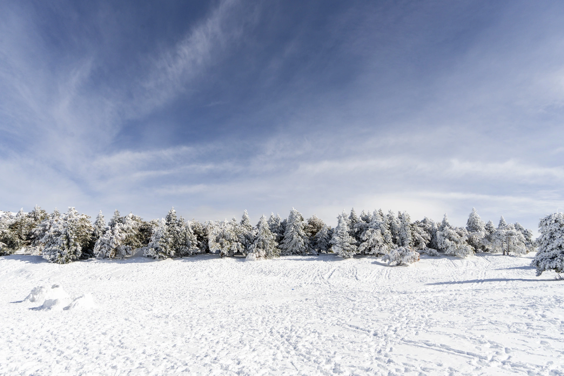 Winter image